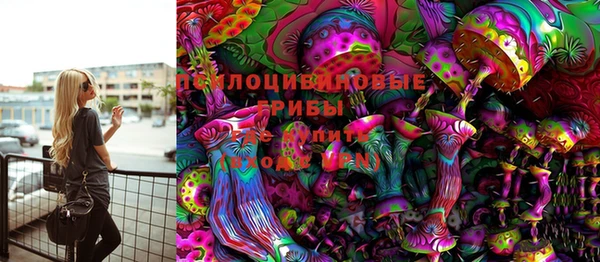 мяу мяу мука Коряжма