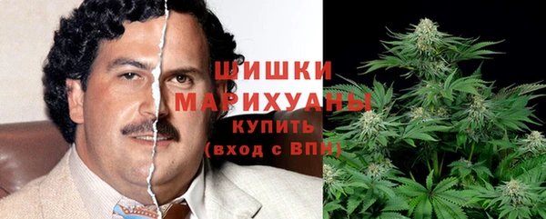 мдпв Костерёво