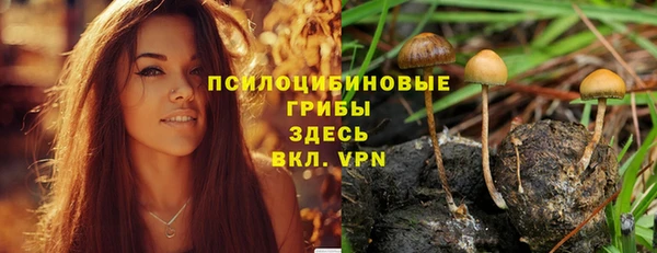 мдпв Костерёво