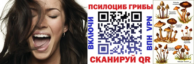 Псилоцибиновые грибы Psilocybe  Купить где  Лиски 
